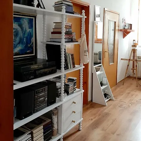 Lovely Bright Apartment With Backyard-Renovated! Sremska Kamenica Exterior photo