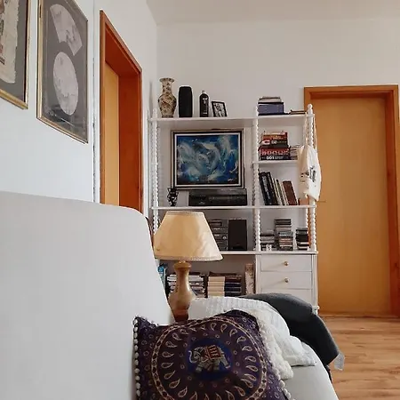 Lovely Bright Apartment With Backyard-Renovated! Sremska Kamenica Exterior photo
