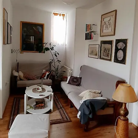 Lovely Bright Apartment With Backyard-Renovated! Sremska Kamenica Exterior photo