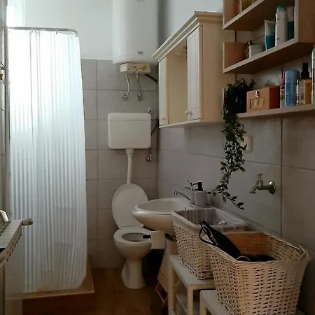 Lovely Bright Apartment With Backyard-Renovated! Sremska Kamenica Exterior photo