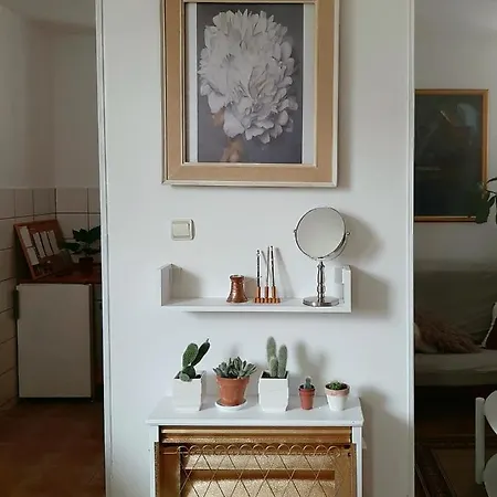 Lovely Bright Apartment With Backyard-Renovated! Sremska Kamenica Exterior photo