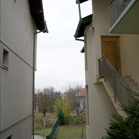 Lovely Bright Apartment With Backyard-Renovated! Sremska Kamenica Exterior photo