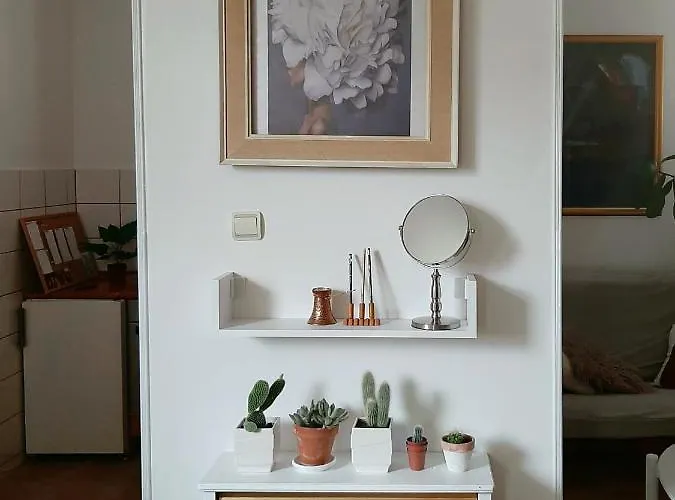 Lovely Bright Apartment With Backyard-Renovated!