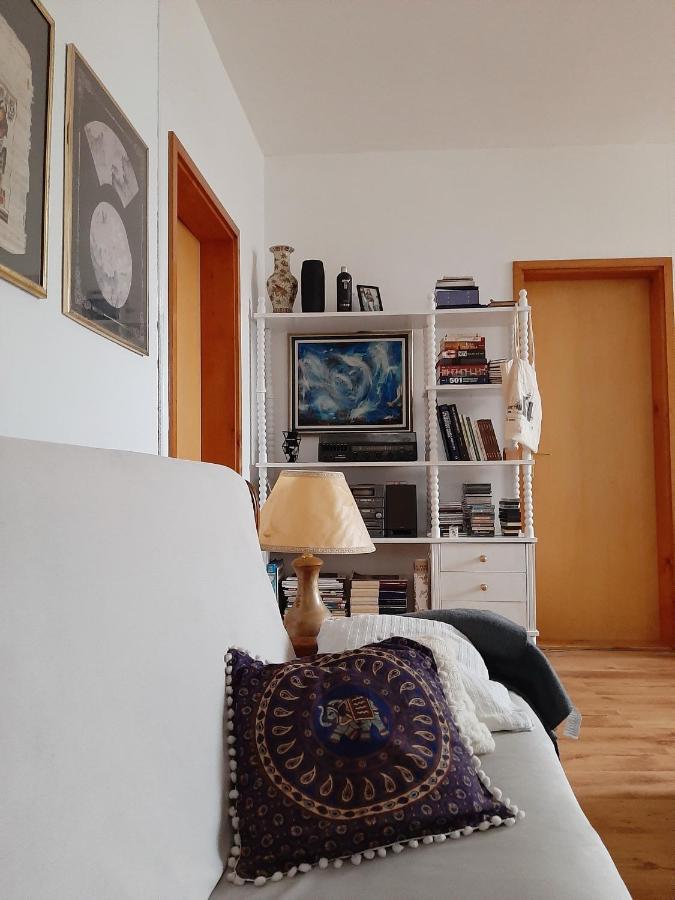 Lovely Bright With Backyard-renovated! Sremska Kamenica