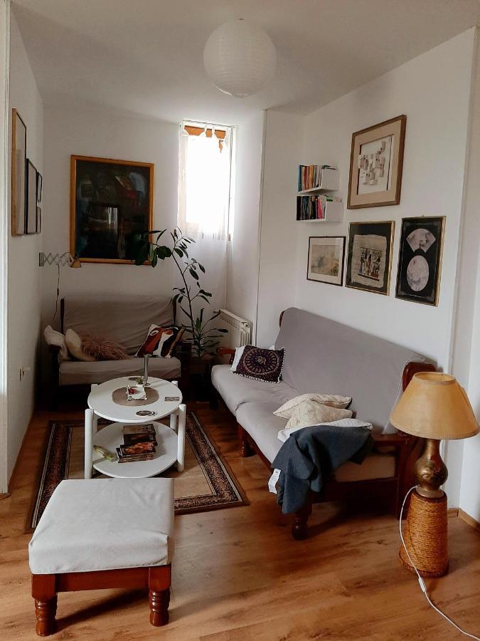 Lovely Bright With Backyard-renovated! Sremska Kamenica