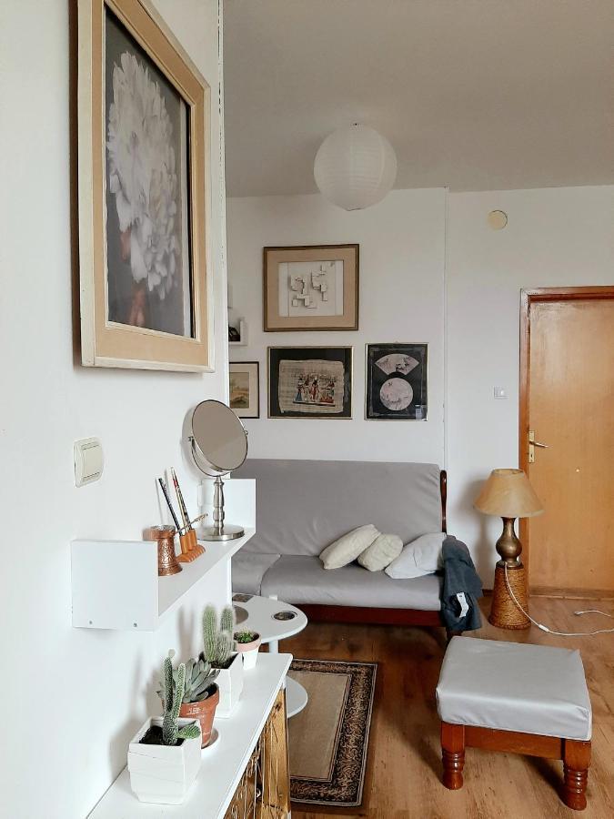 Apartment Lovely Bright With Backyard-renovated! Sremska Kamenica