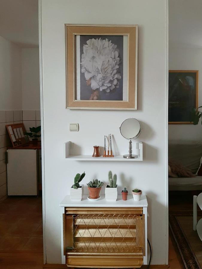 Lovely Bright With Backyard-renovated! Apartment
