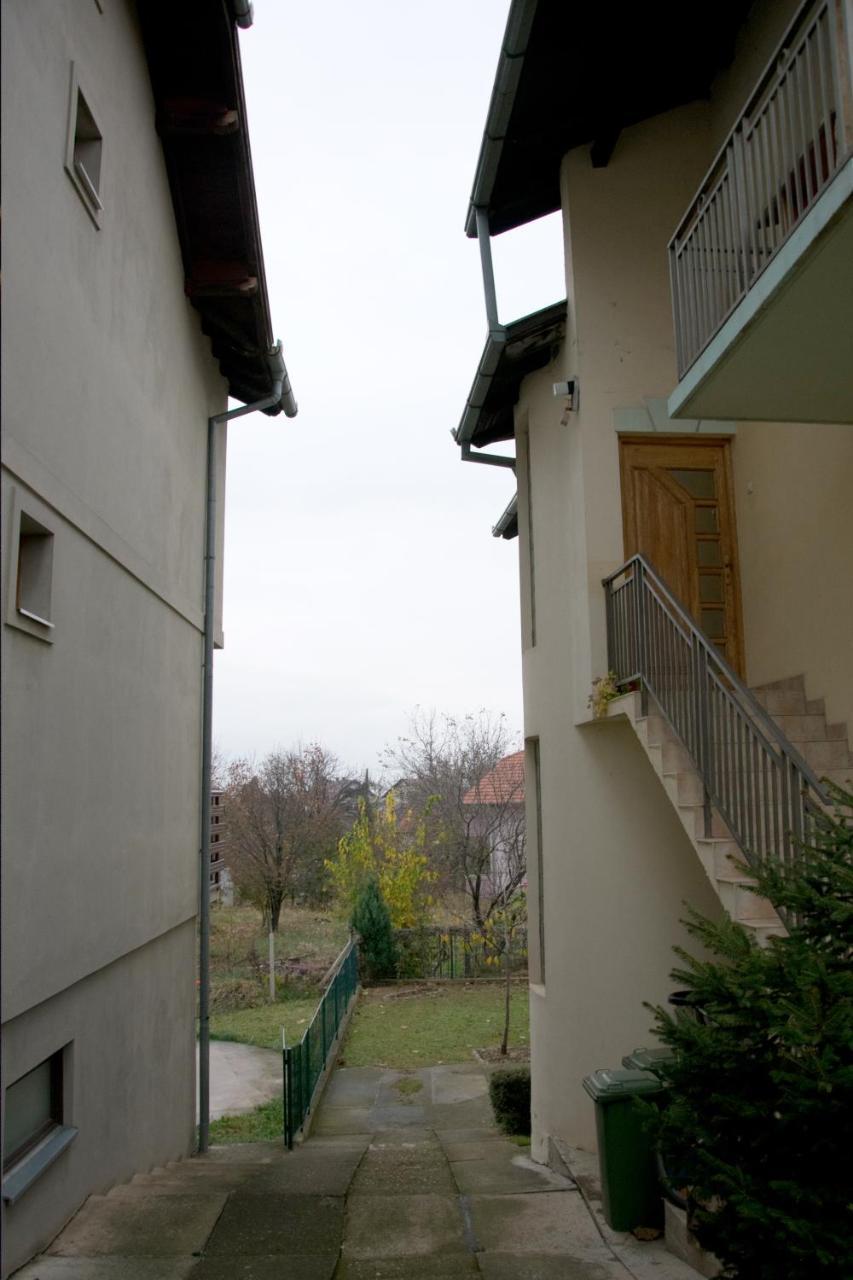 Lovely Bright With Backyard-renovated! Apartment